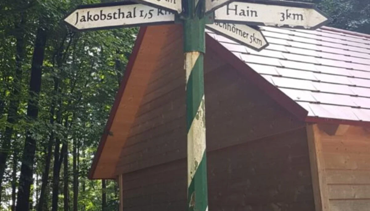 © Sektion Erika Labes