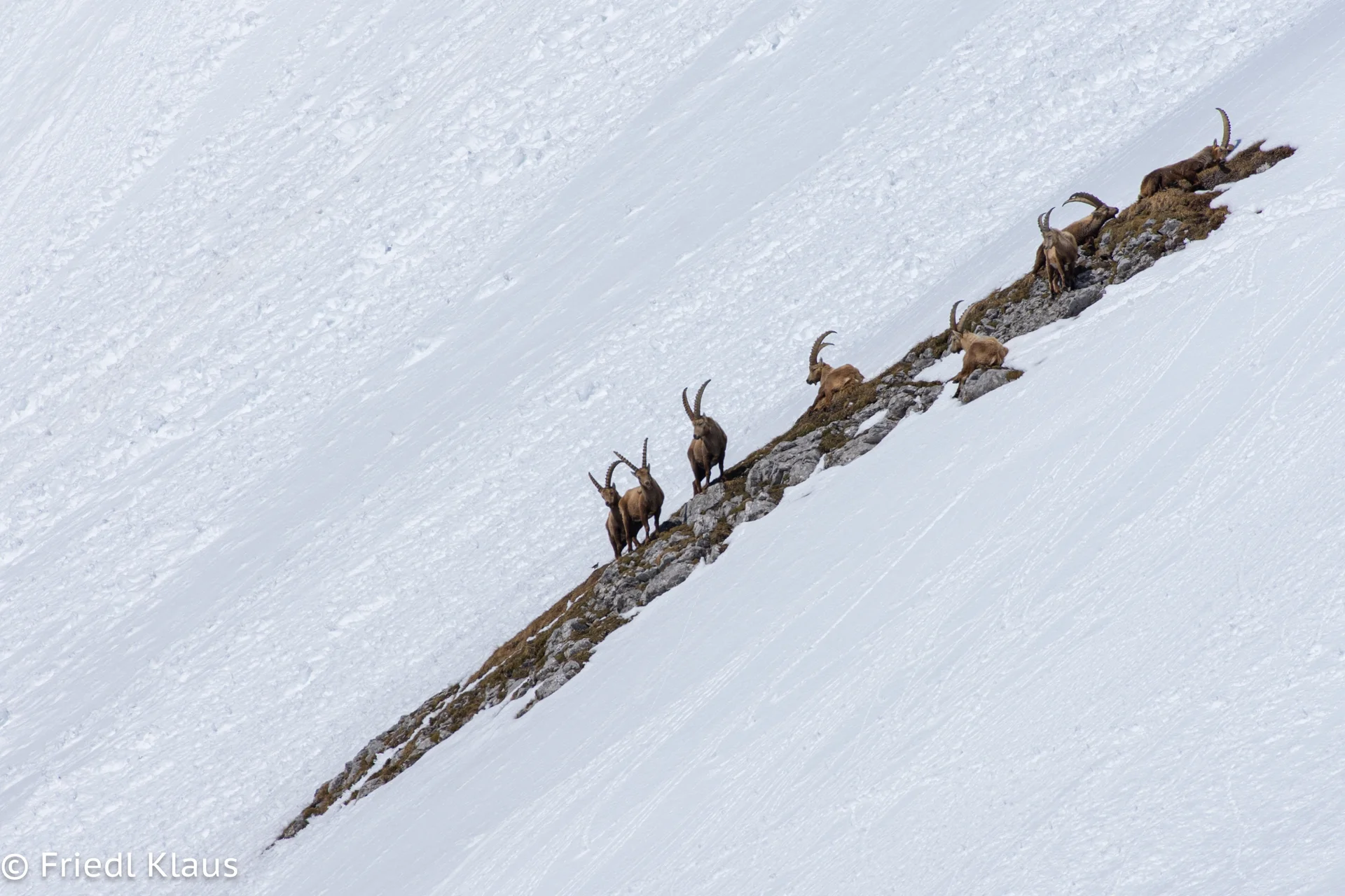 © Sektion Klaus Friedl