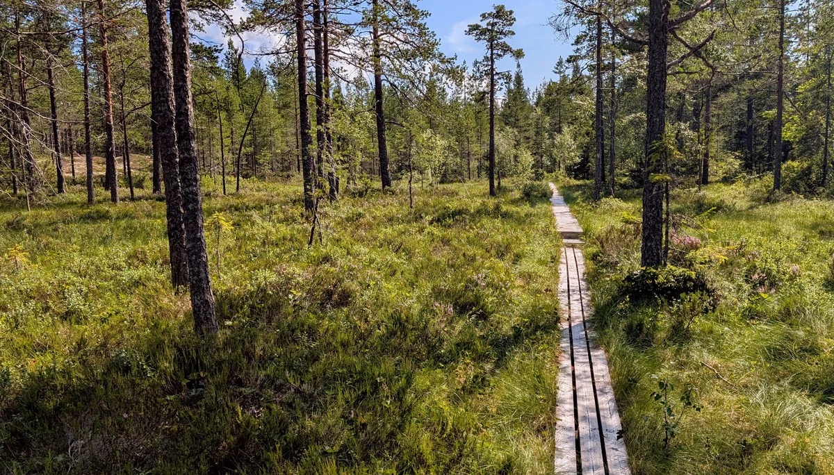 © DAV Hanau/Jannis Dickmann