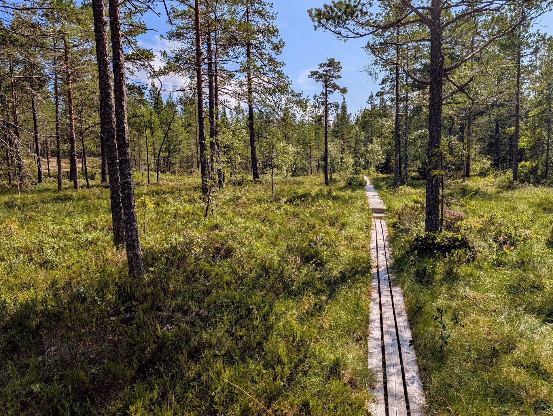 © DAV Hanau/Jannis Dickmann