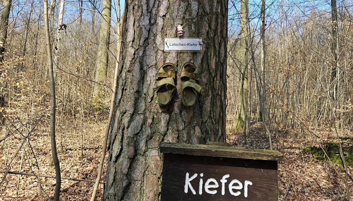 © Erika Labes/Sektion Hanau