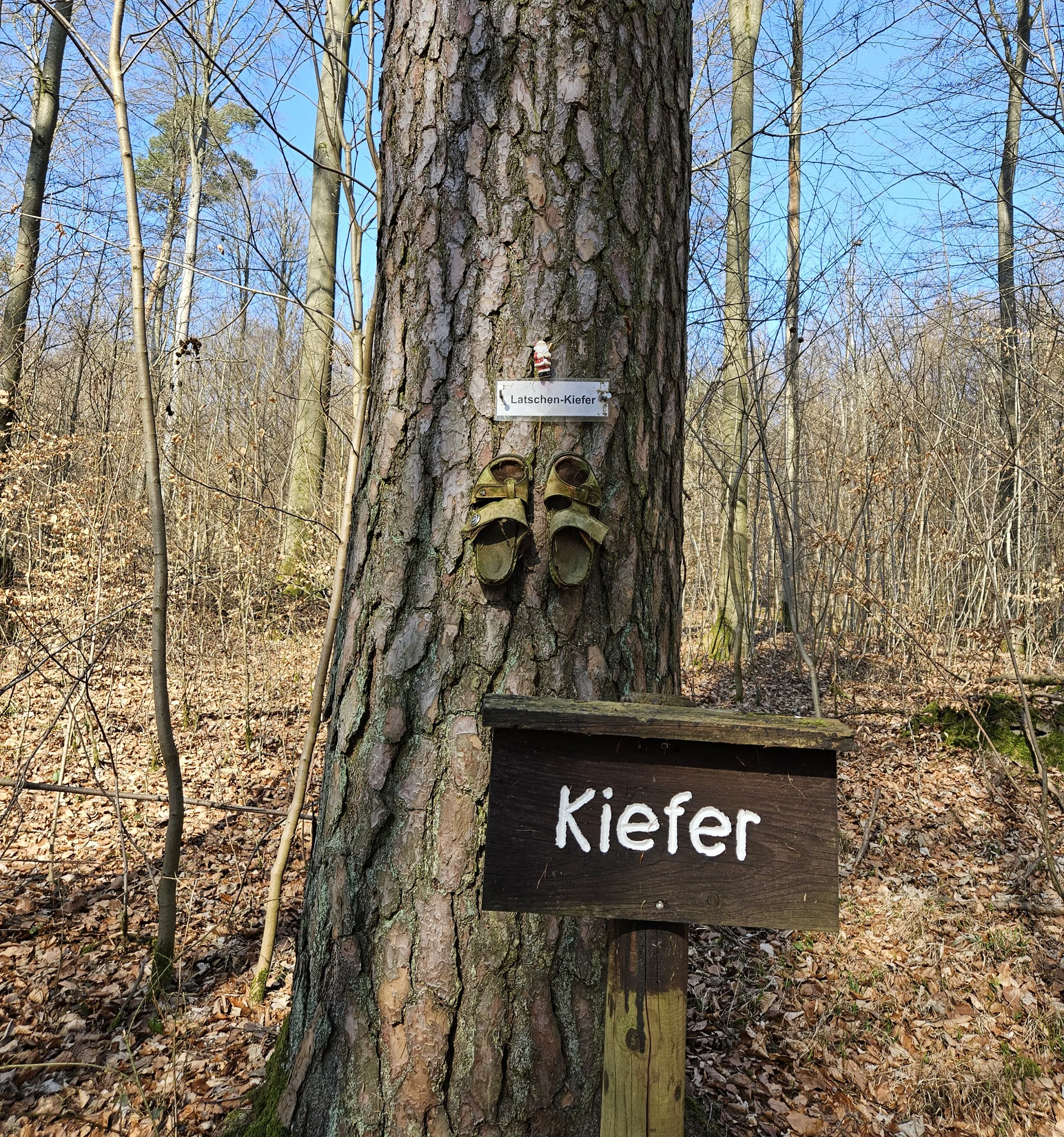 © Erika Labes/Sektion Hanau