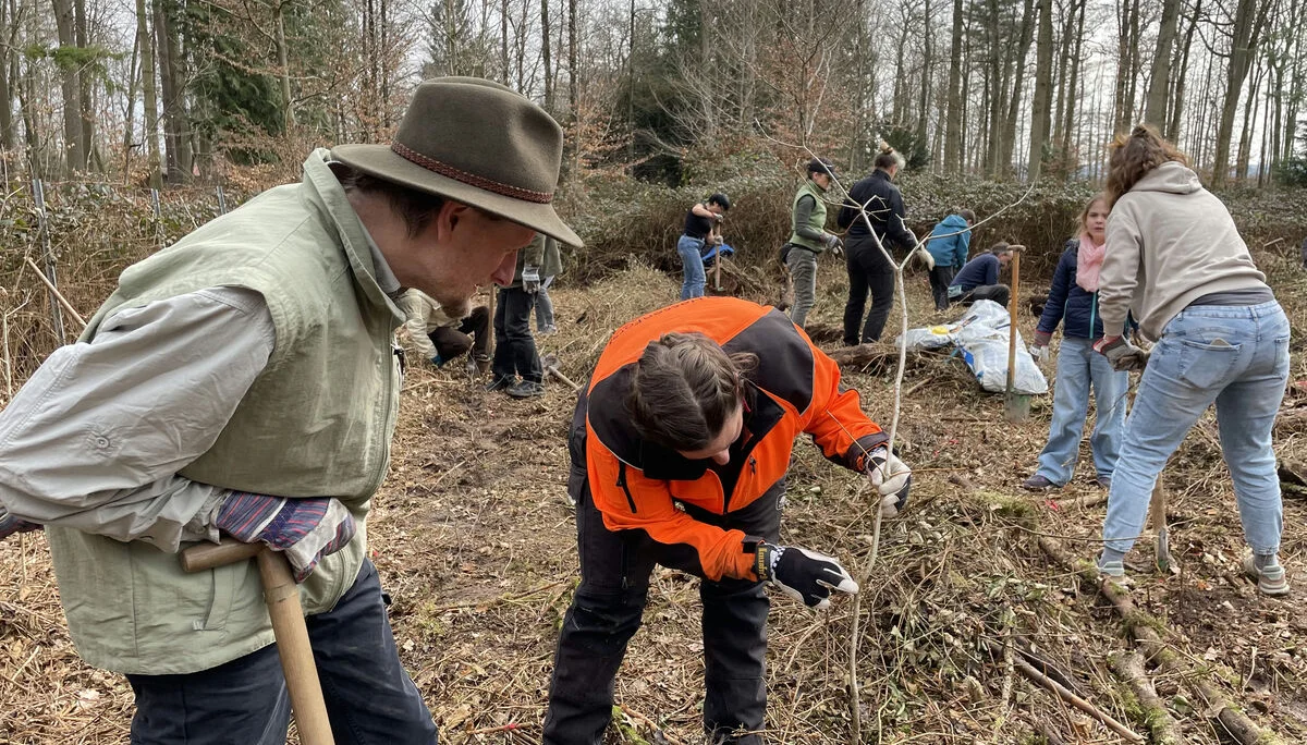 © Vera Bodenurg/Sektion