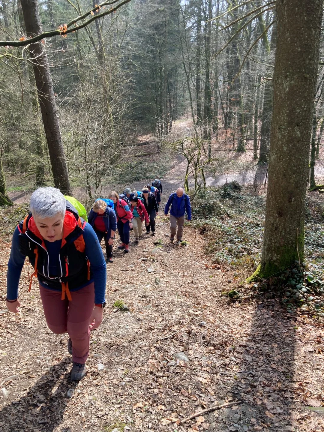 © Peter Hartung / Sektion