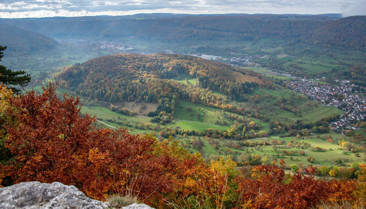 © Sektion/Erika Labes