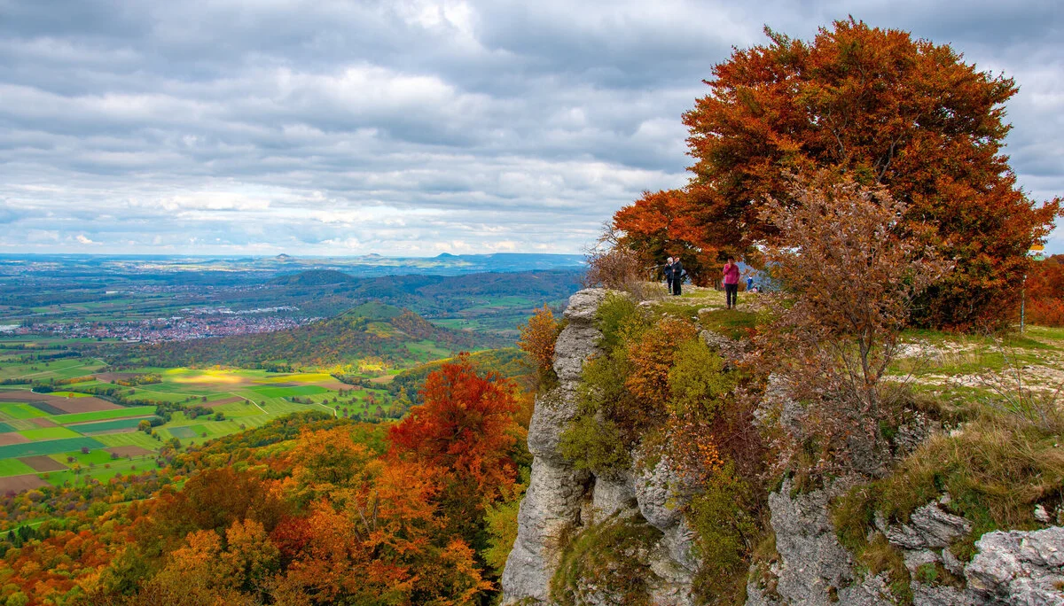 © Sektion/Erika Labes