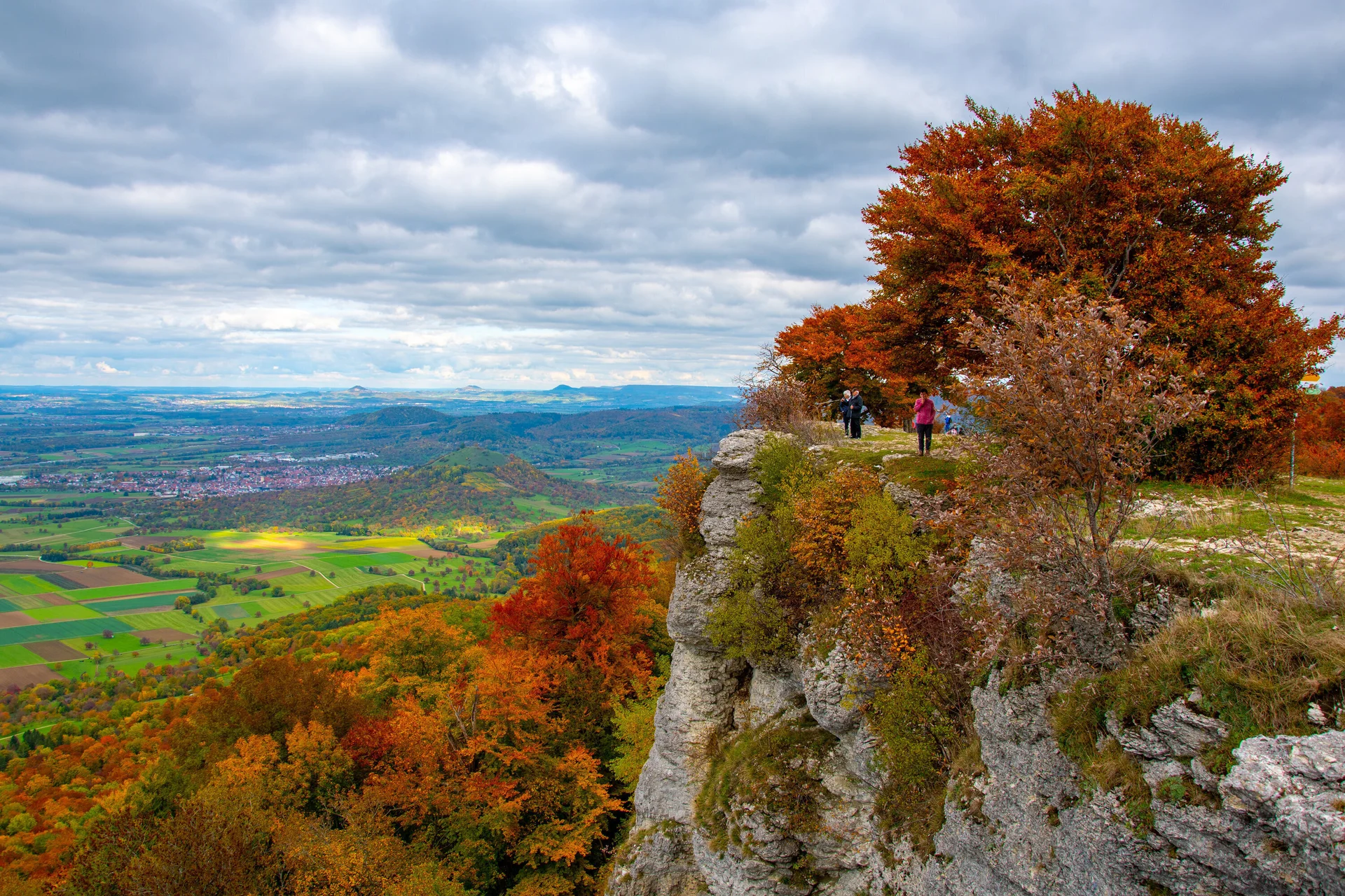 © Sektion/Erika Labes