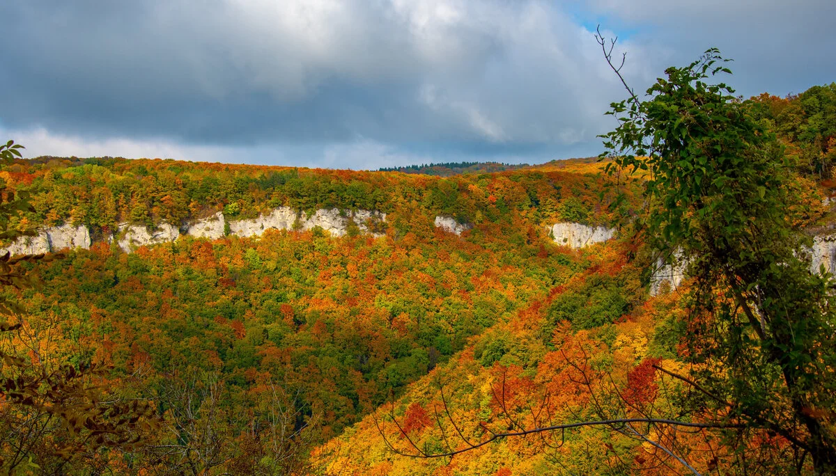 © Sektion/Erika Labes