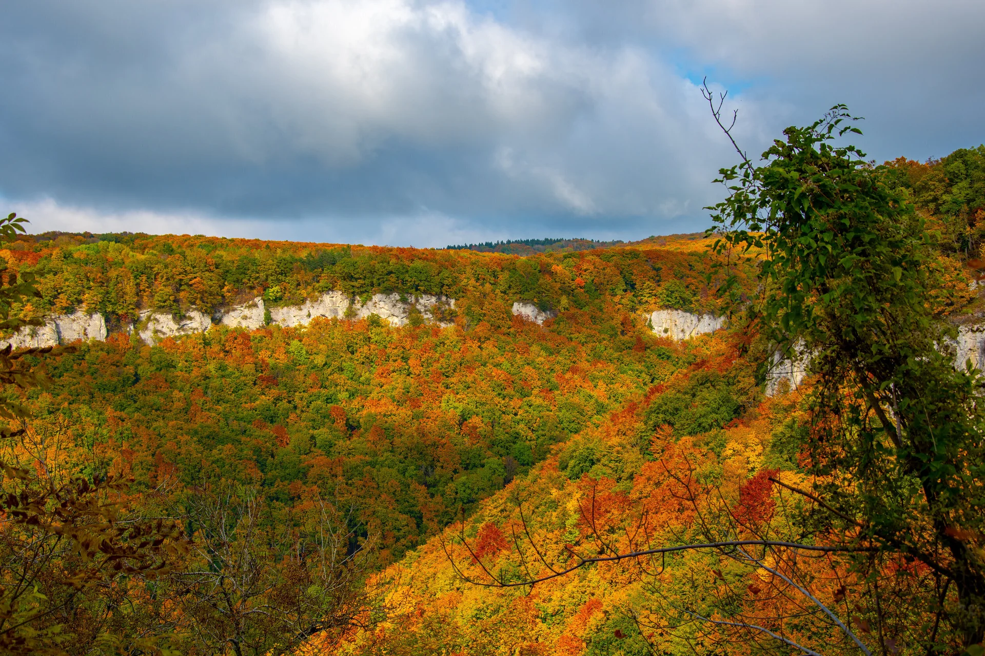 © Sektion/Erika Labes