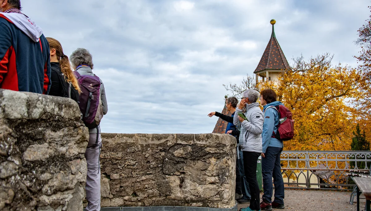 © Sektion/Erika Labes