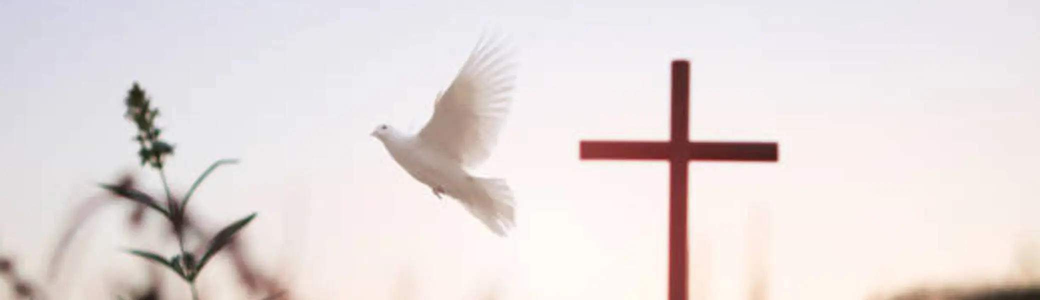 © istockphoto