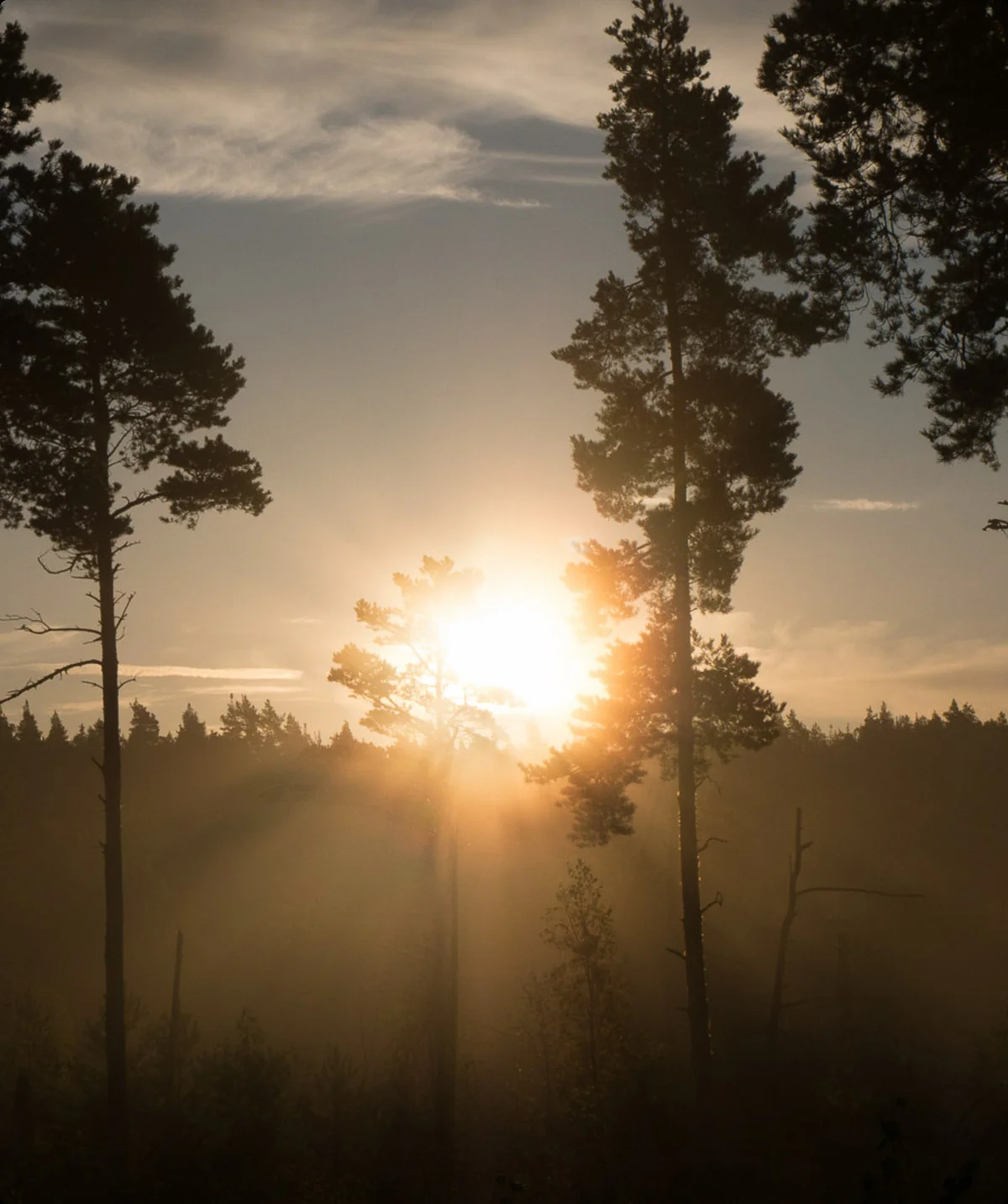 © DAV Hanau/Jannis Dickmann