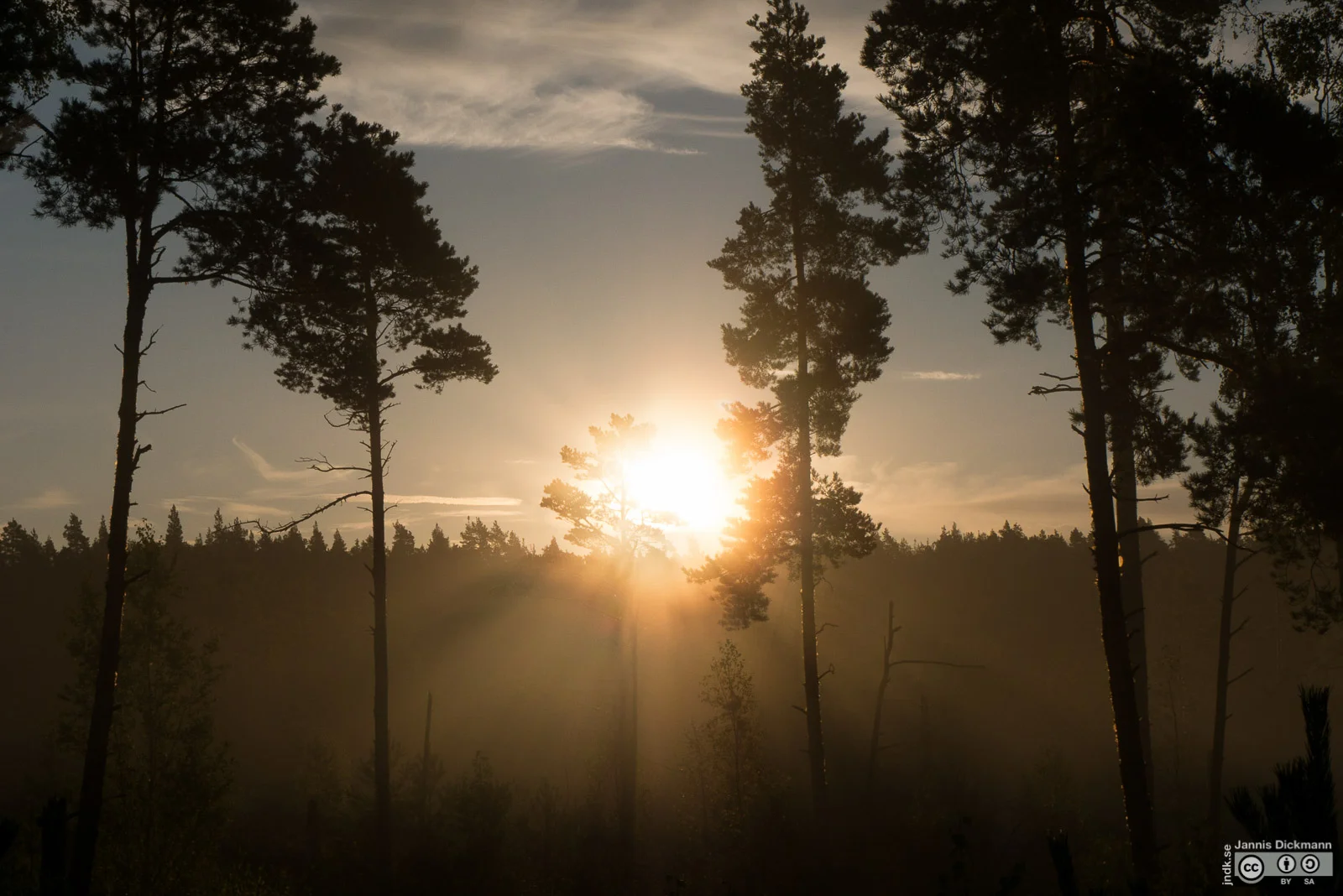 © DAV Hanau/Jannis Dickmann