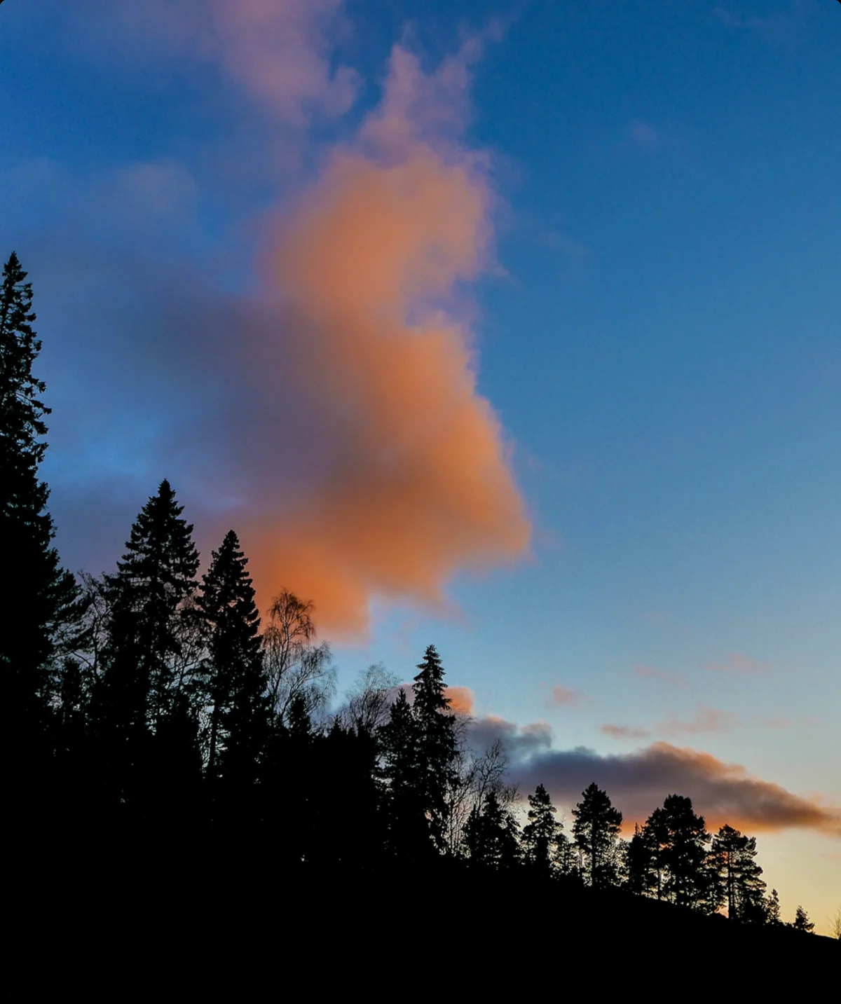 © DAV Hanau/Jannis Dickmann