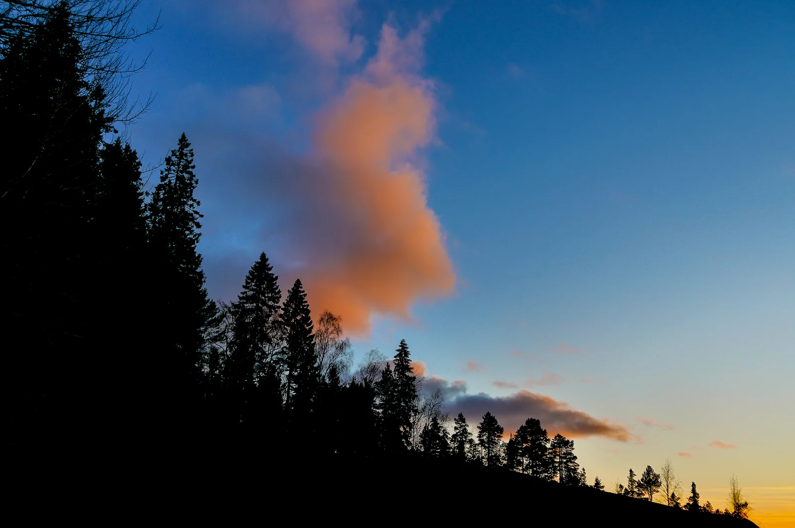 © DAV Hanau/Jannis Dickmann