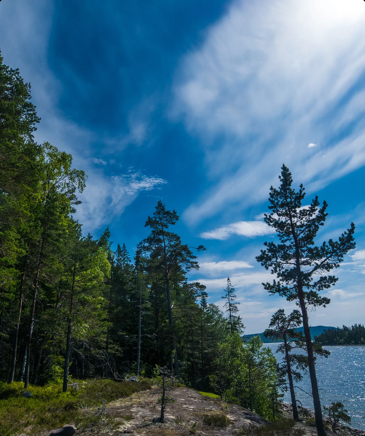 © DAV Hanau/Jannis Dickmann