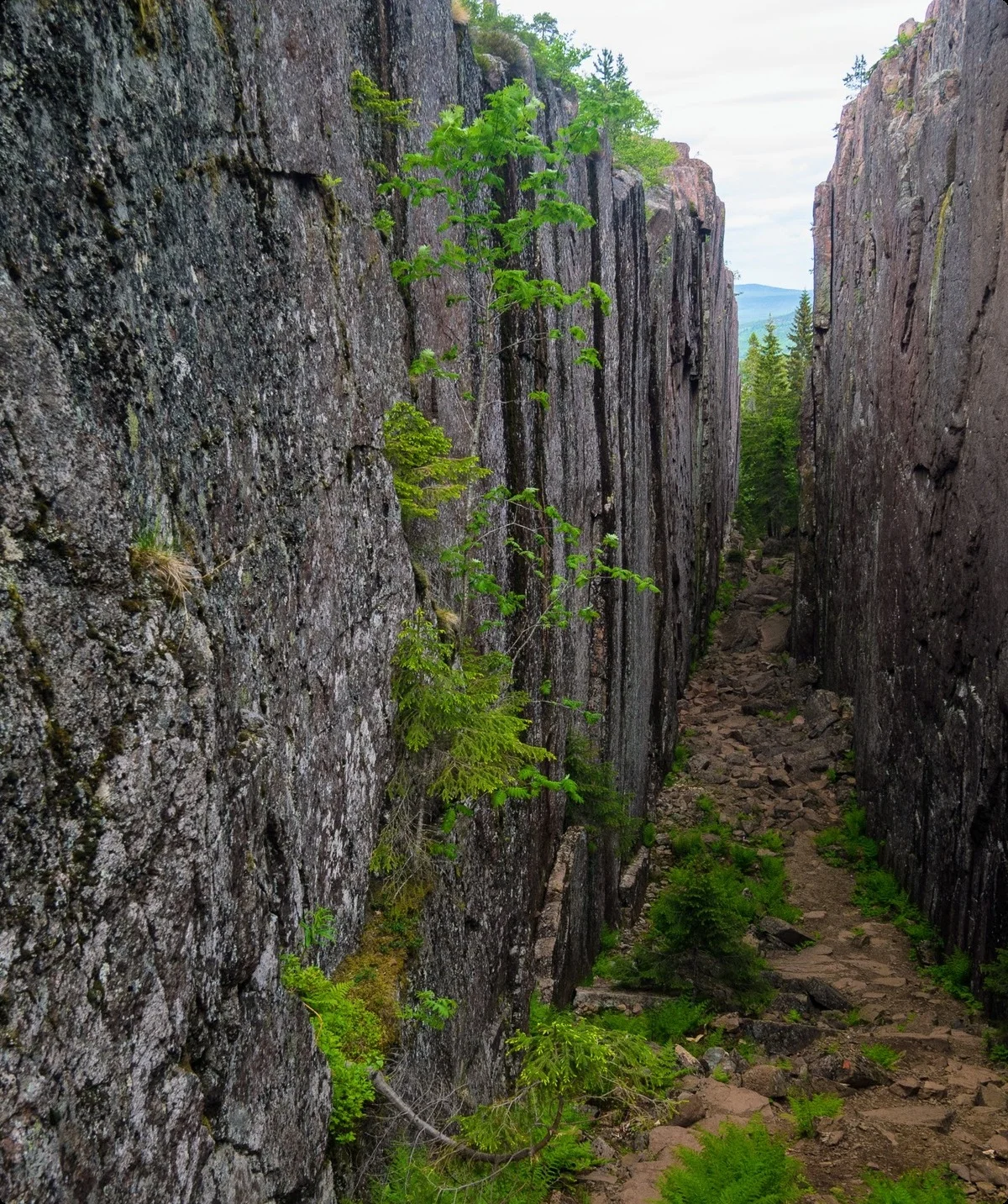 © DAV Hanau/Jannis Dickmann