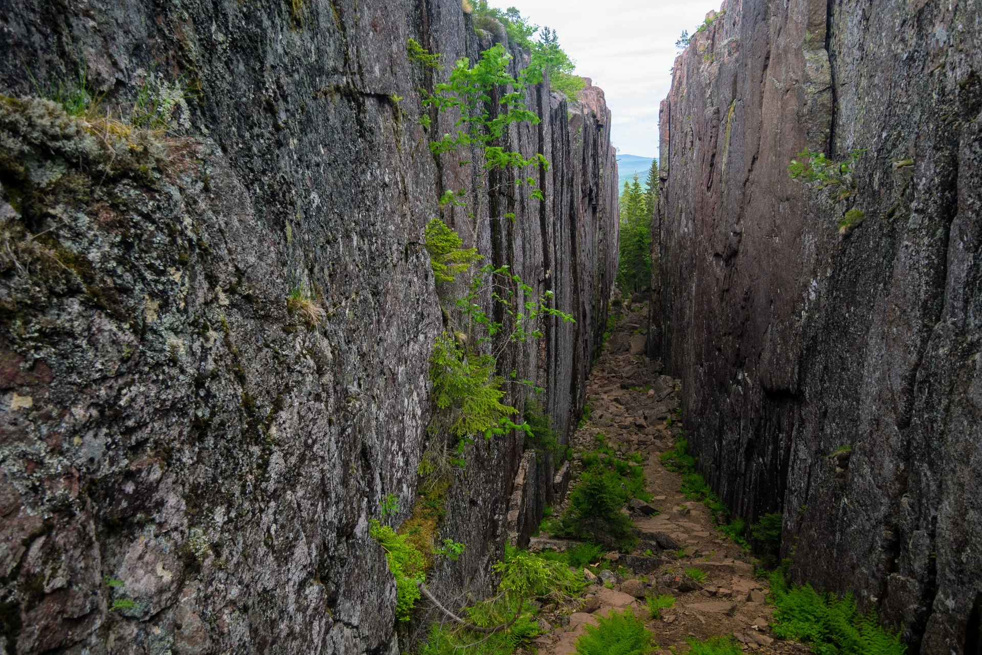 © DAV Hanau/Jannis Dickmann