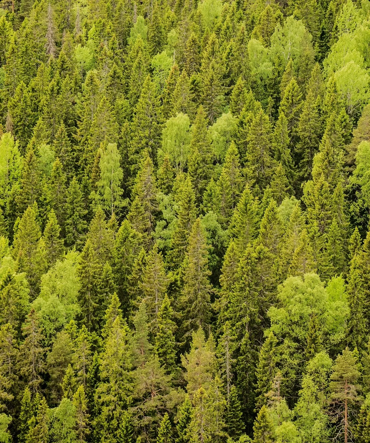 © DAV Hanau/Jannis Dickmann