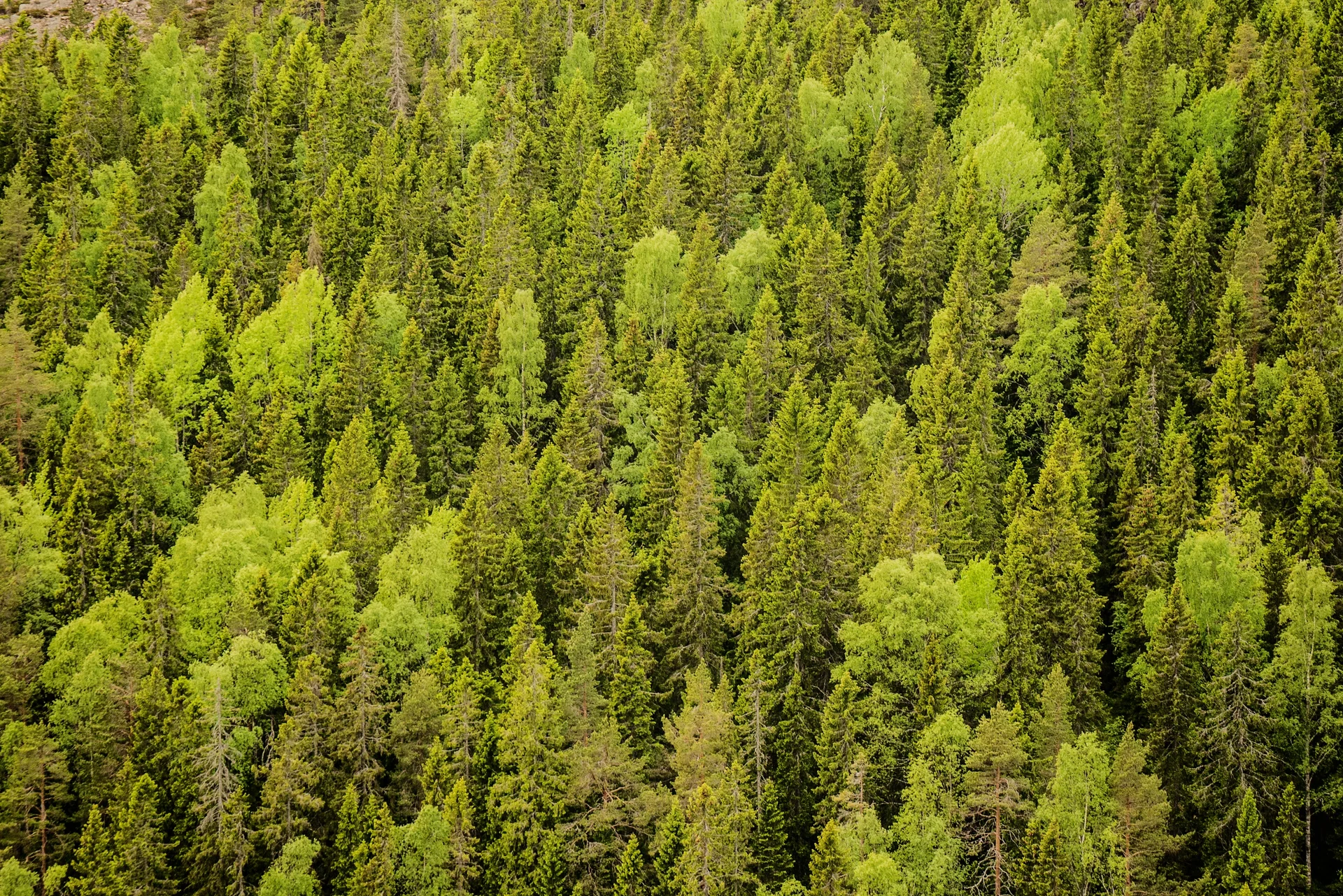 © DAV Hanau/Jannis Dickmann