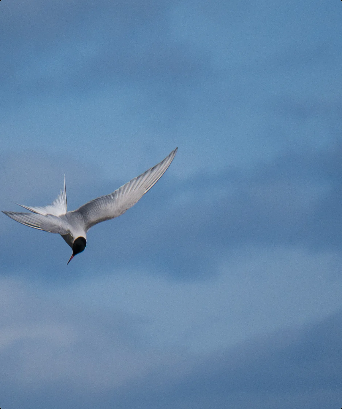 © DAV Hanau/Jannis Dickmann