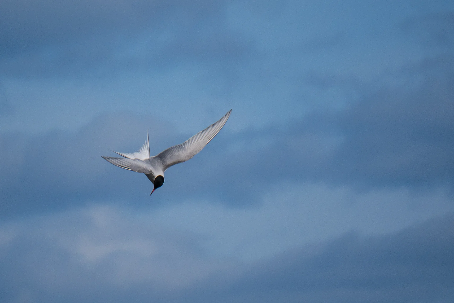 © DAV Hanau/Jannis Dickmann