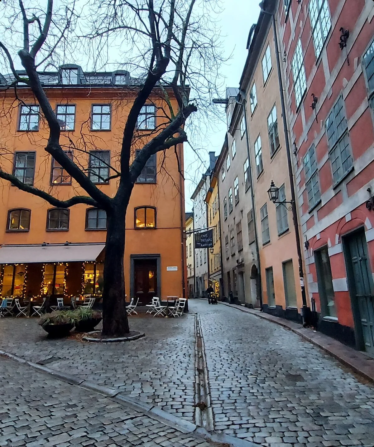 © DAV Hanau/Jannis Dickmann