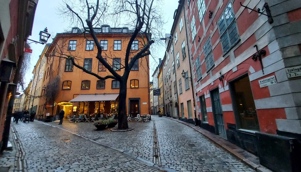 © DAV Hanau/Jannis Dickmann