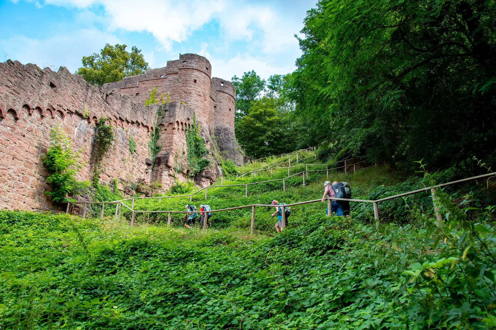 © Sektion Erika Labes