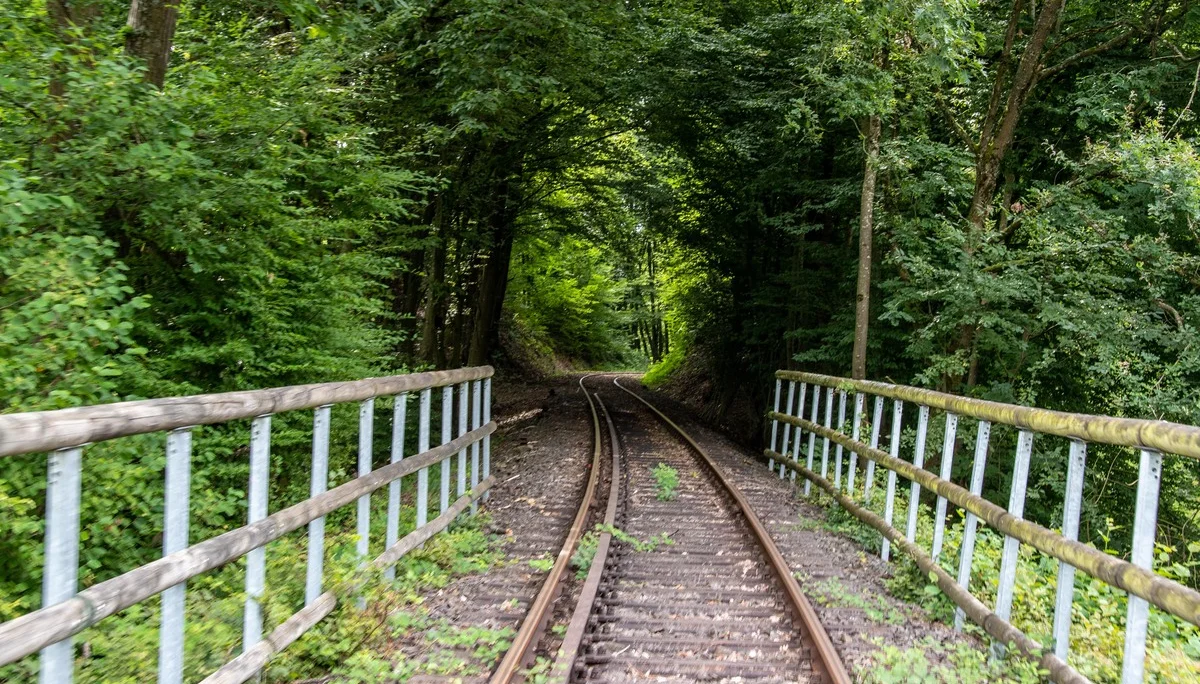 © Sektion Erika Labes