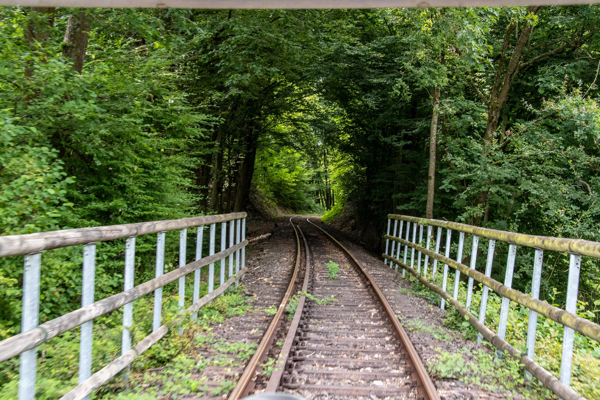 © Sektion Erika Labes