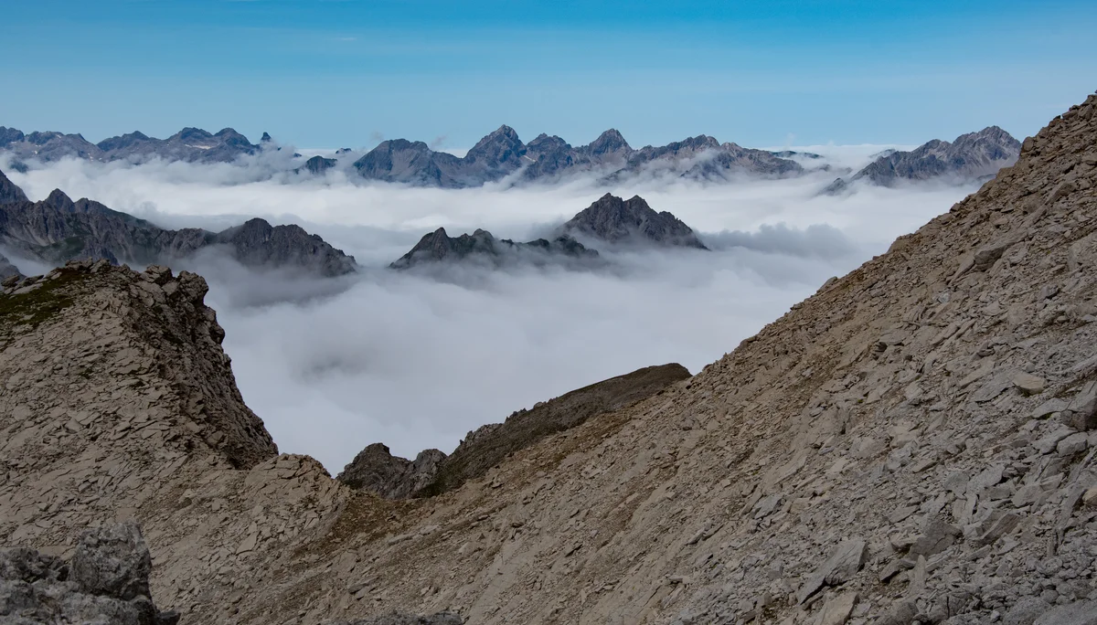 © Sektion/Erika Labes