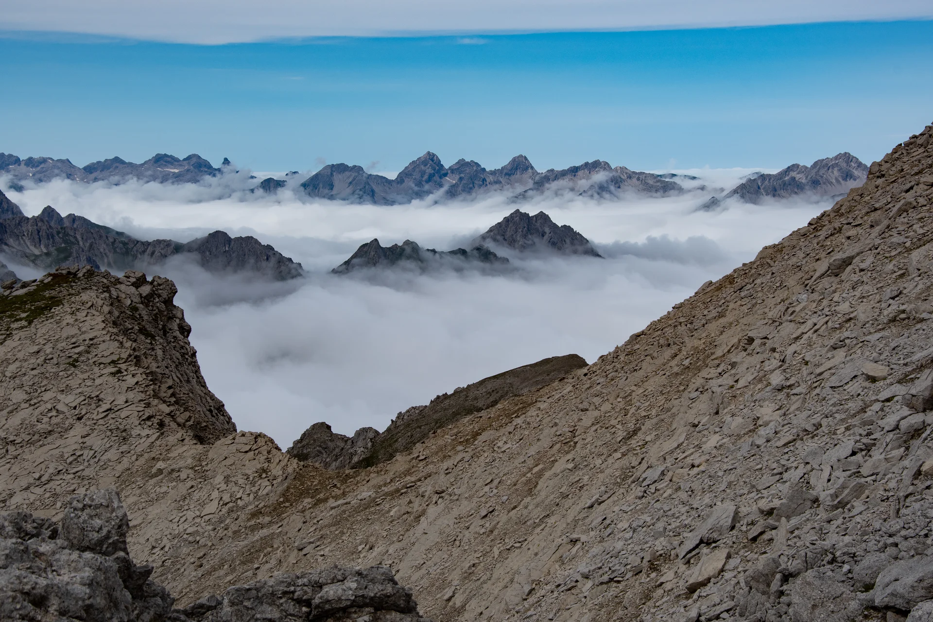 © Sektion/Erika Labes