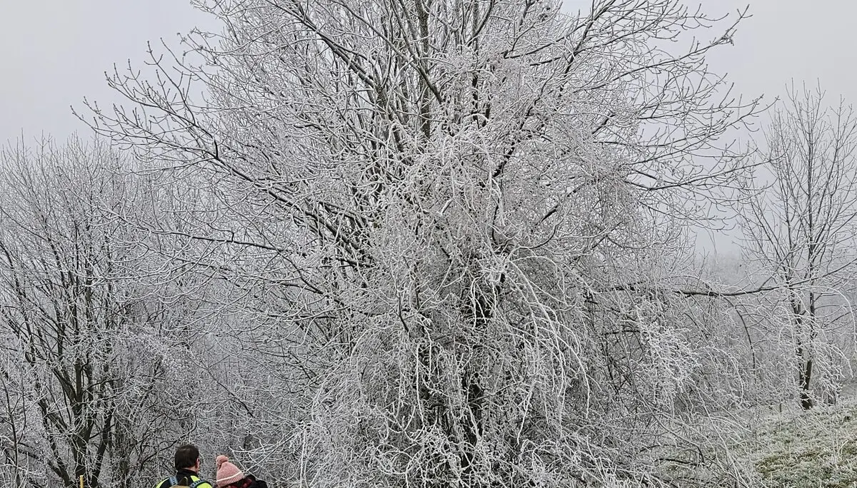 © Sektion/Erika Labes