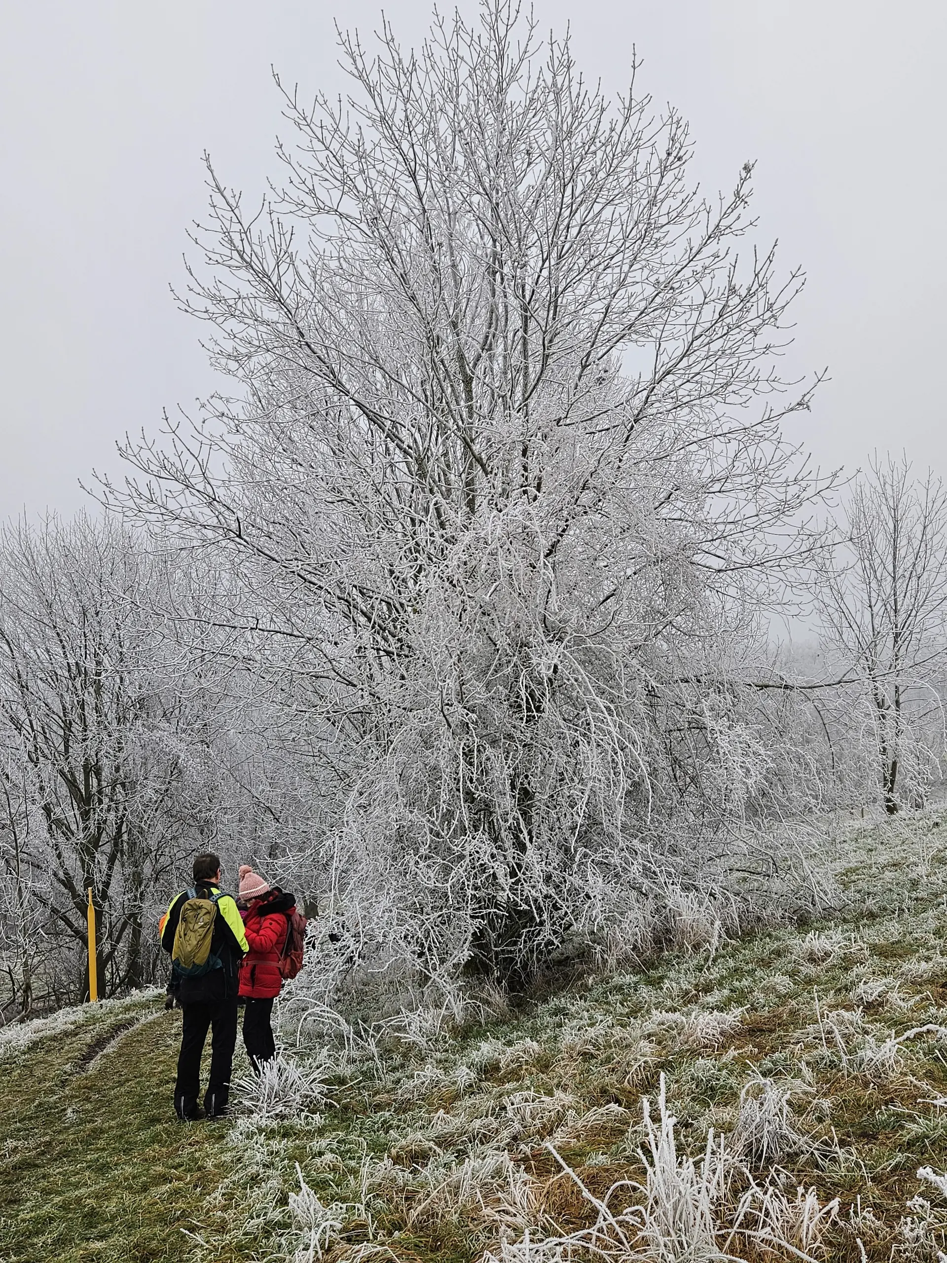 © Sektion/Erika Labes