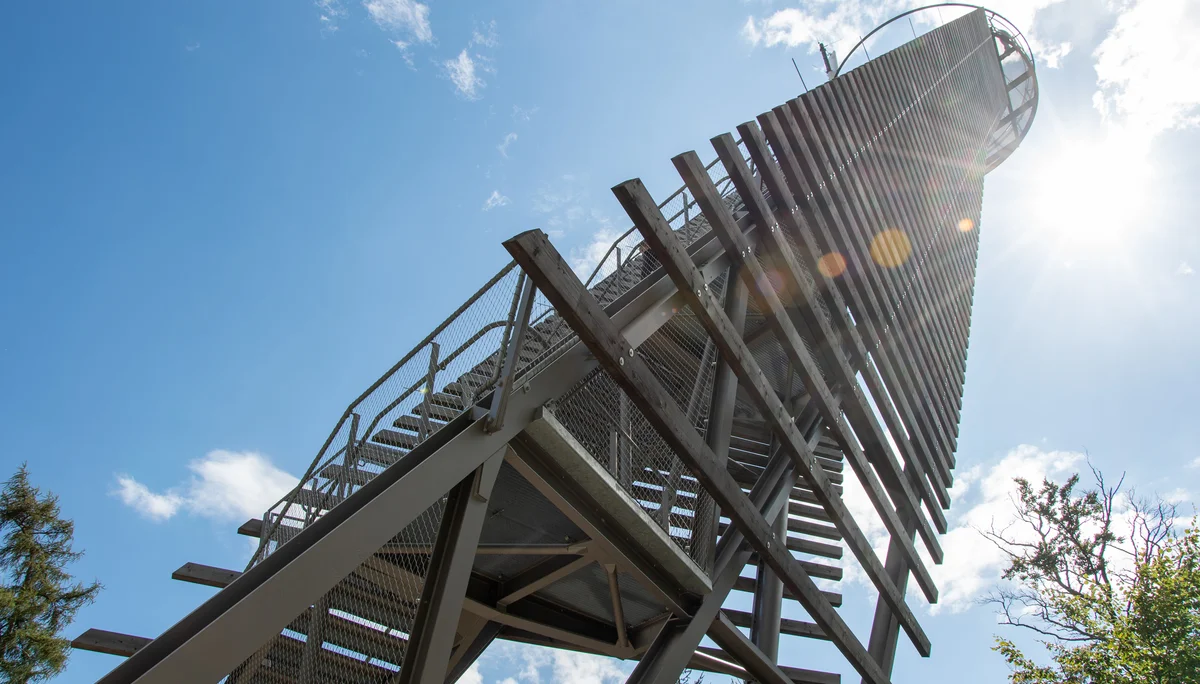 © Sektion/Erika Labes