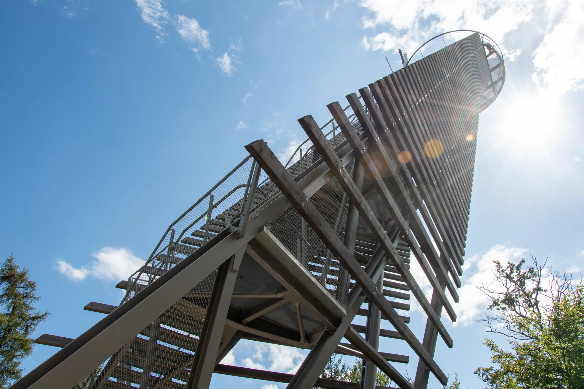 © Sektion/Erika Labes