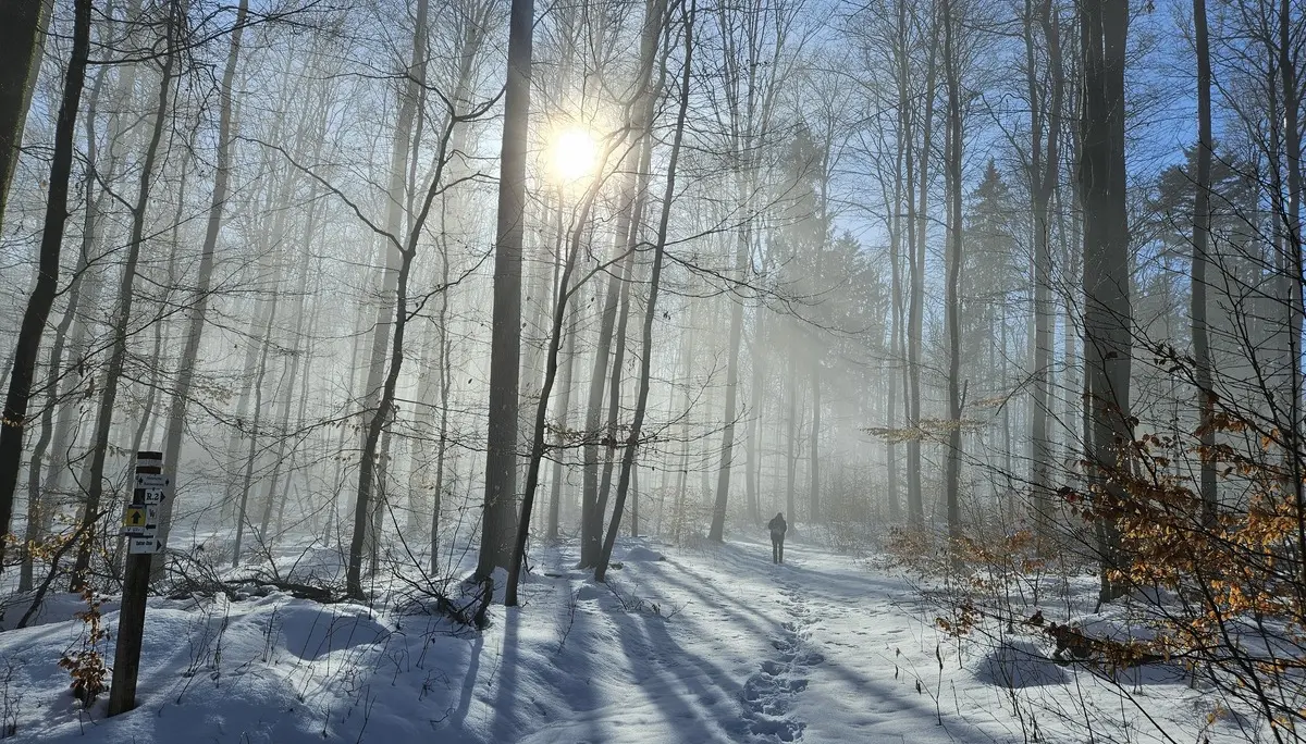 © DAV Sektion/Erika Labes