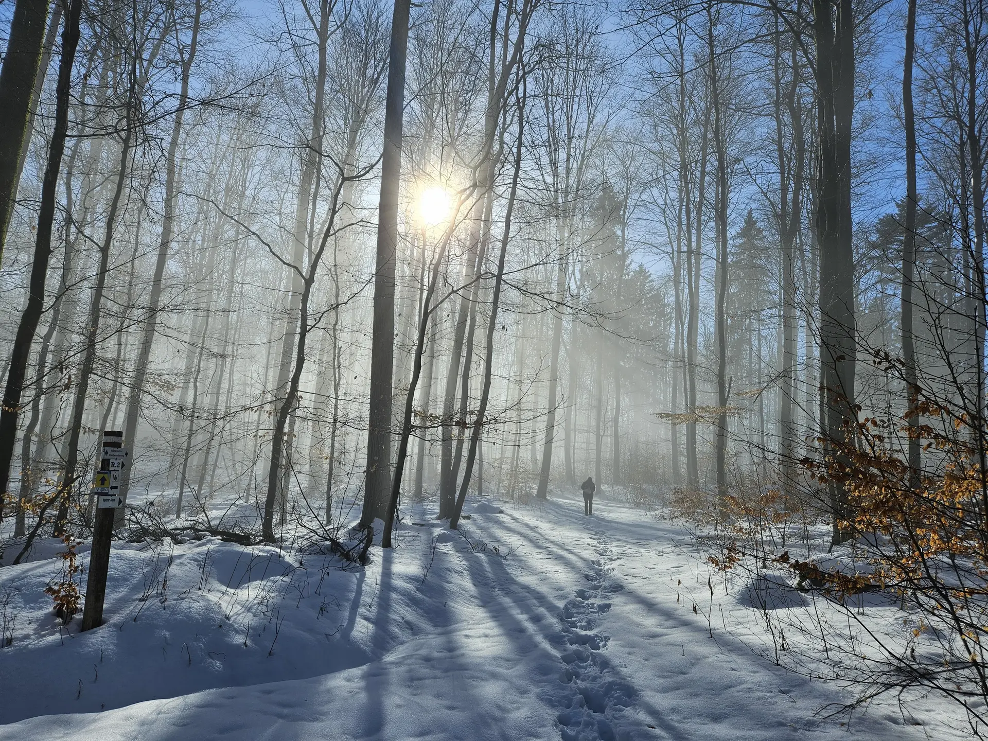 © DAV Sektion/Erika Labes