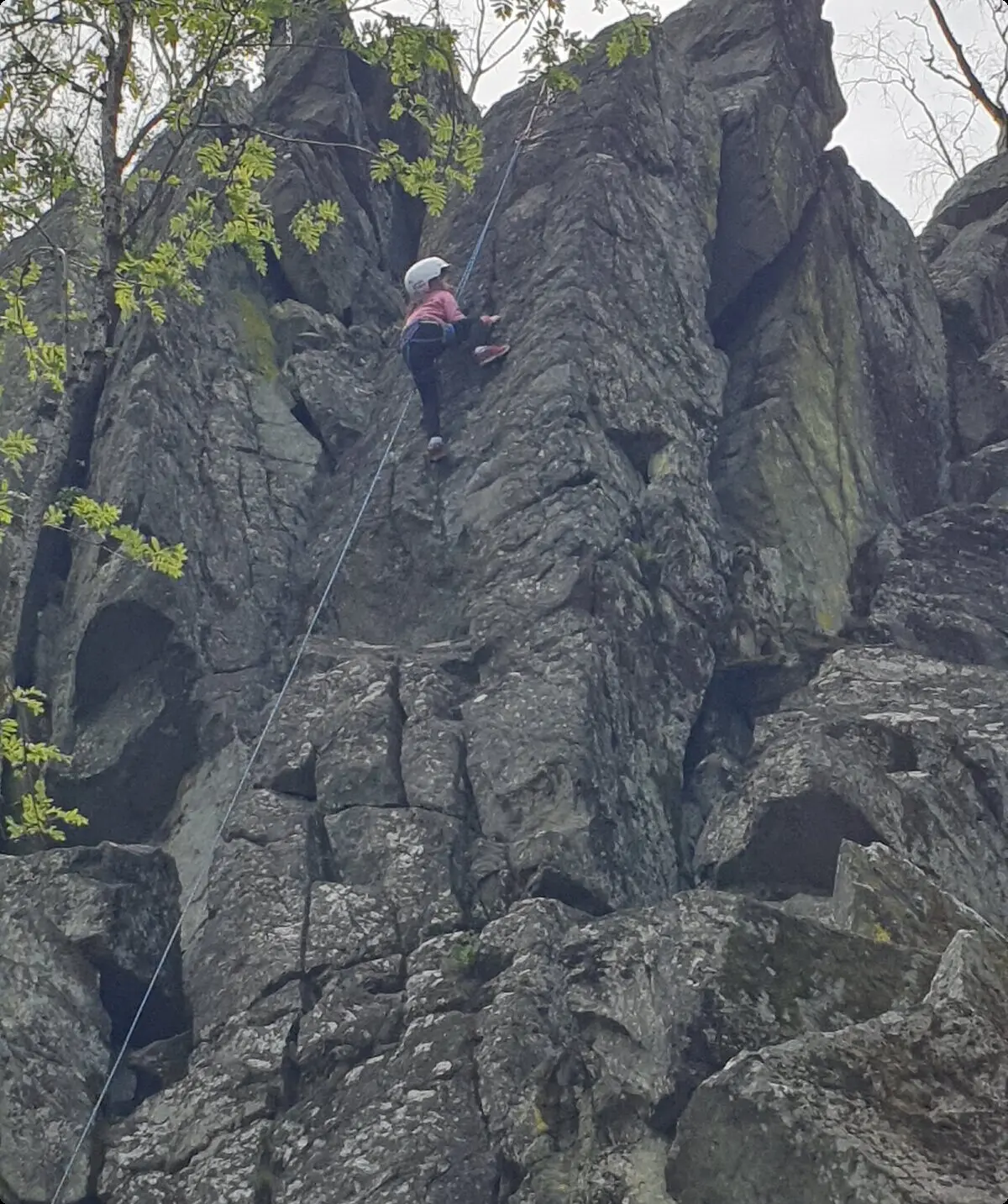 © Sektion/Christoph König