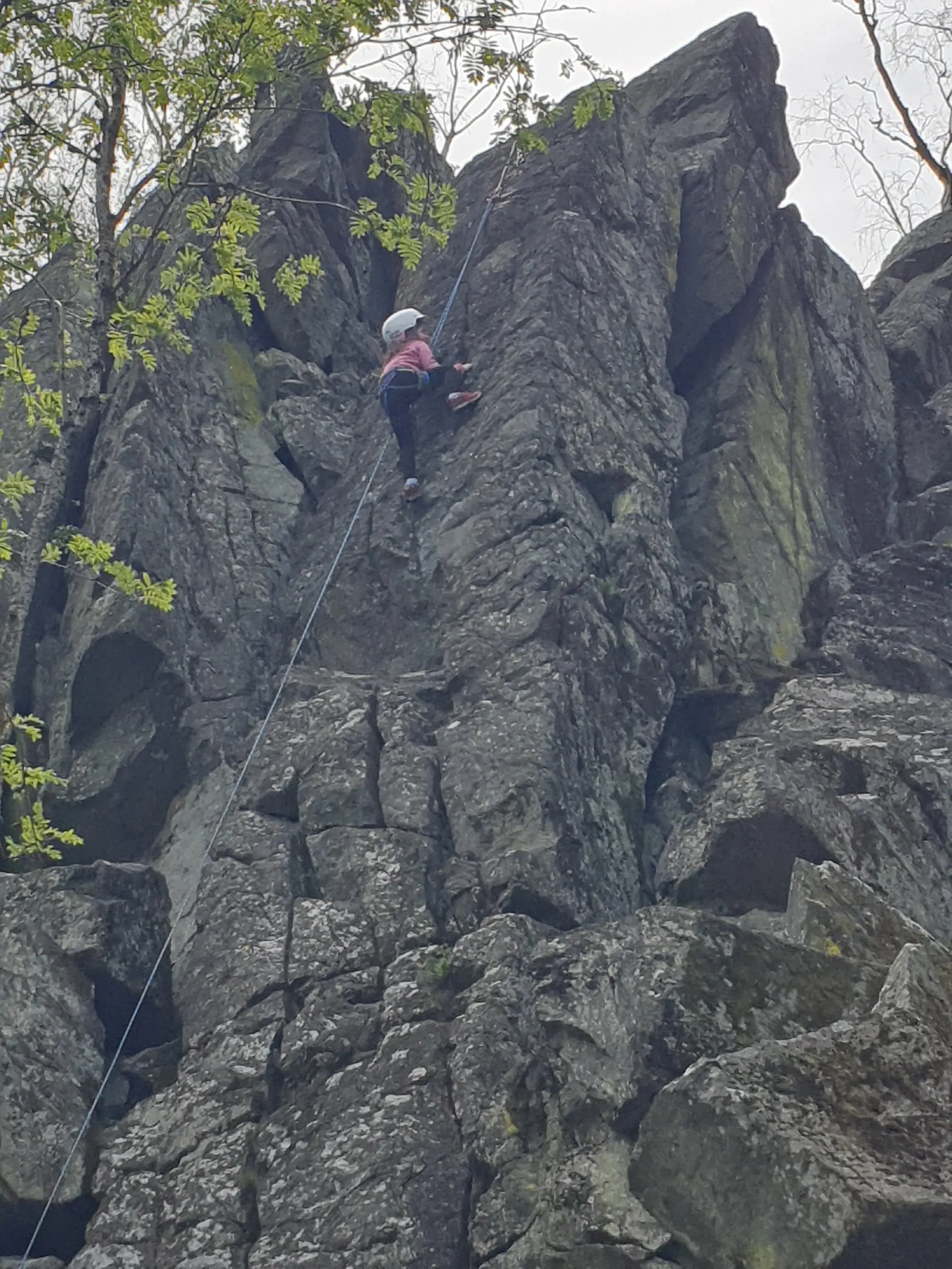 © Sektion/Christoph König