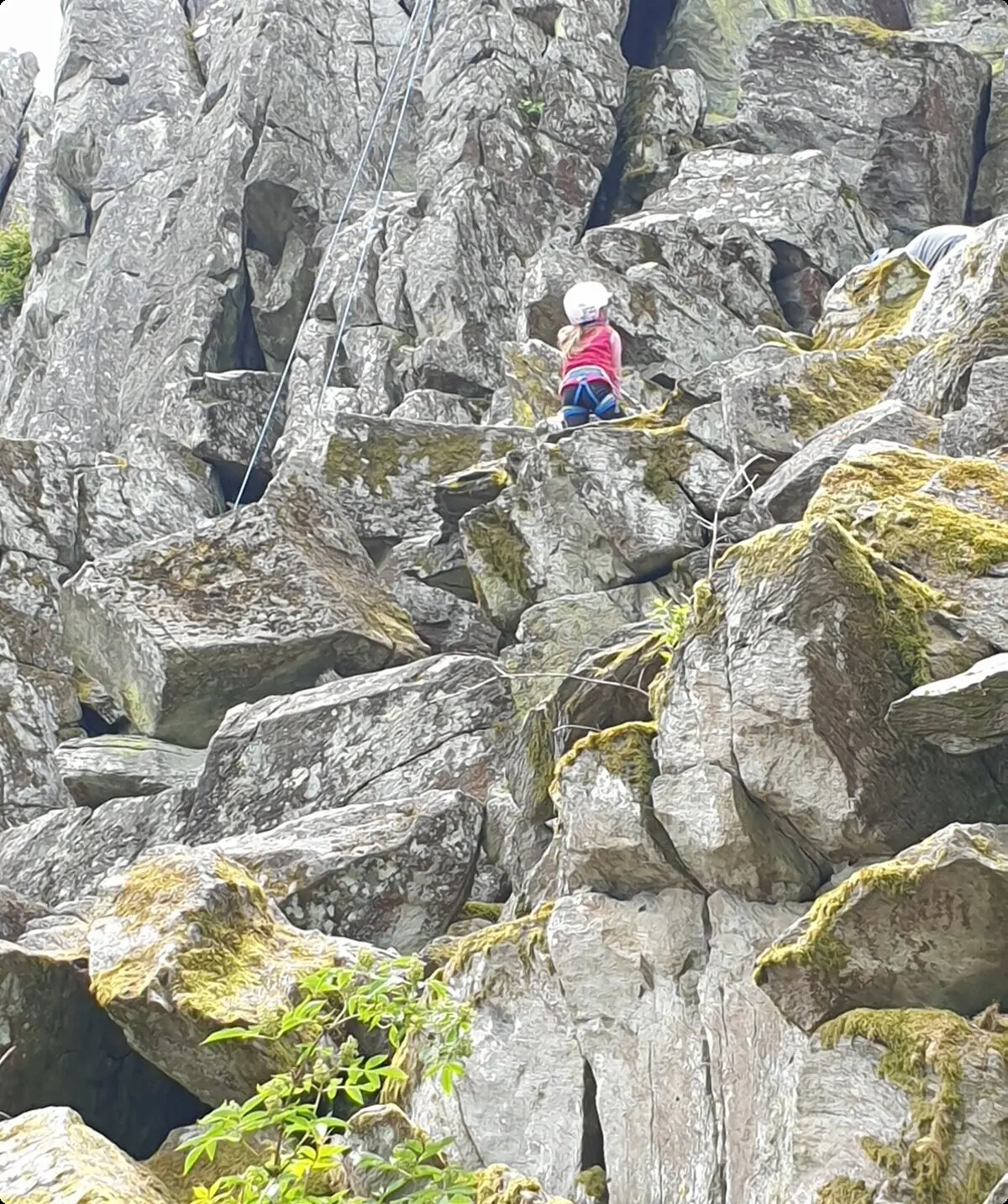 © Sektion/Christoph König