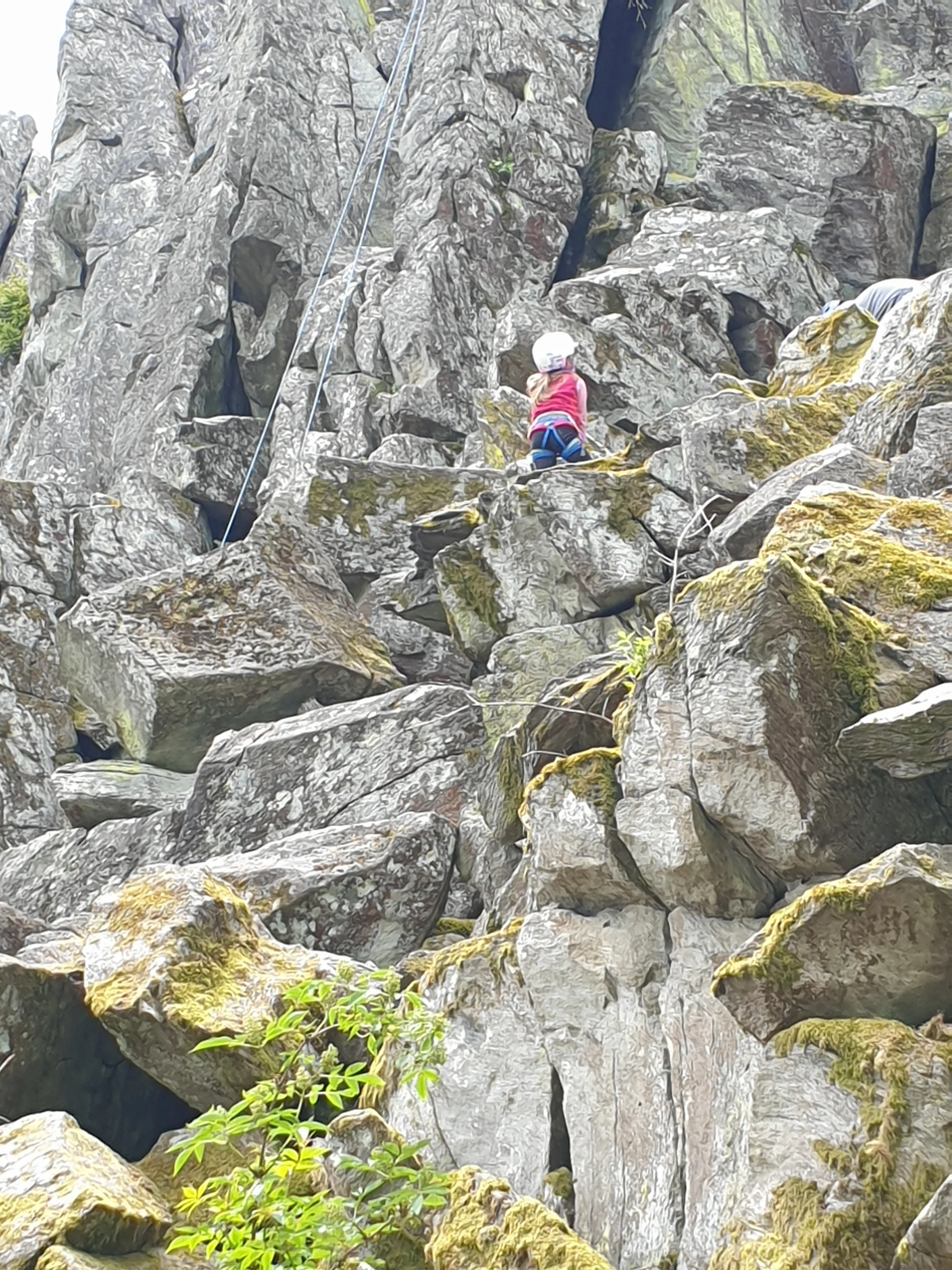 © Sektion/Christoph König