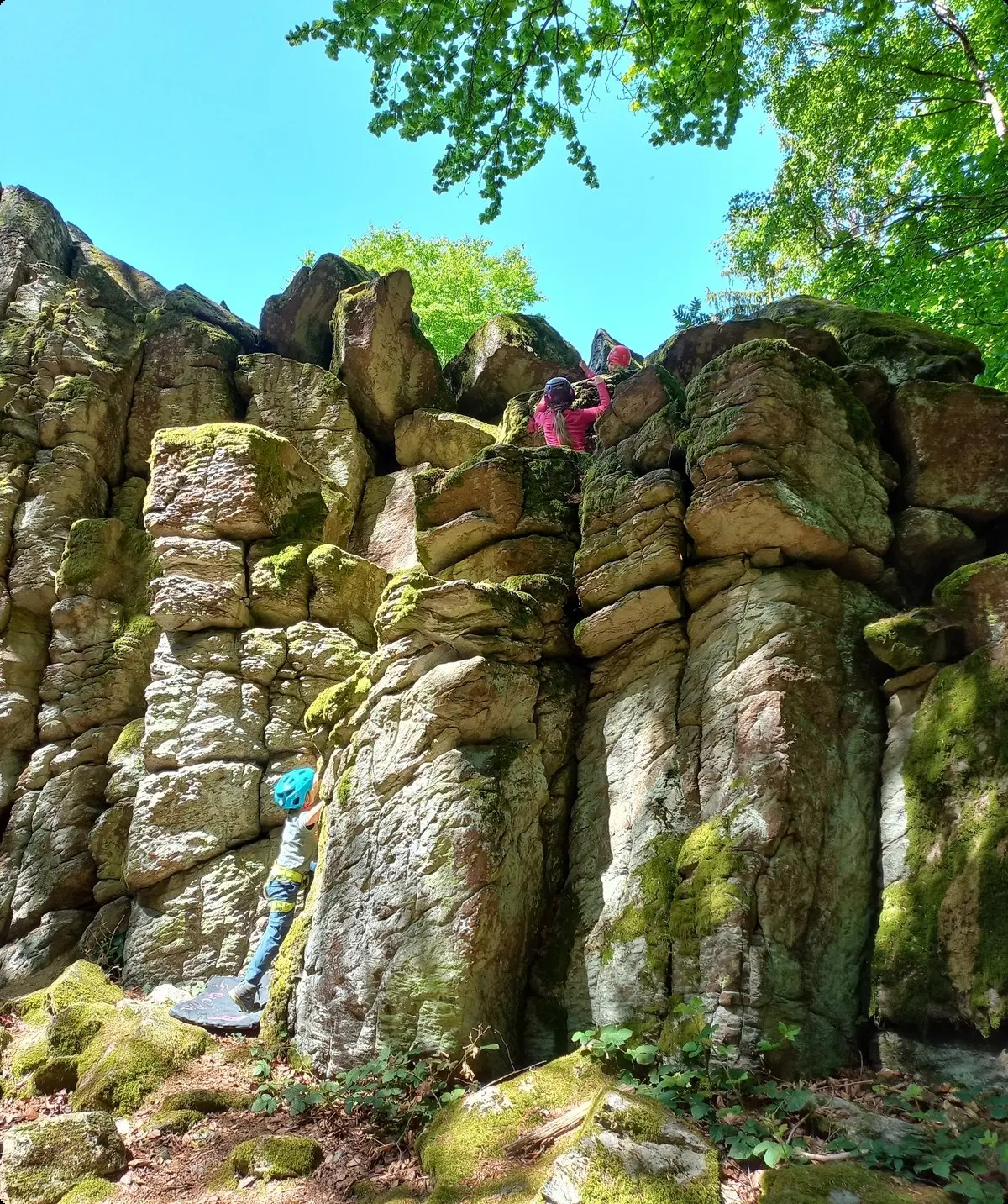 © Sektion Hanau/Christoph König