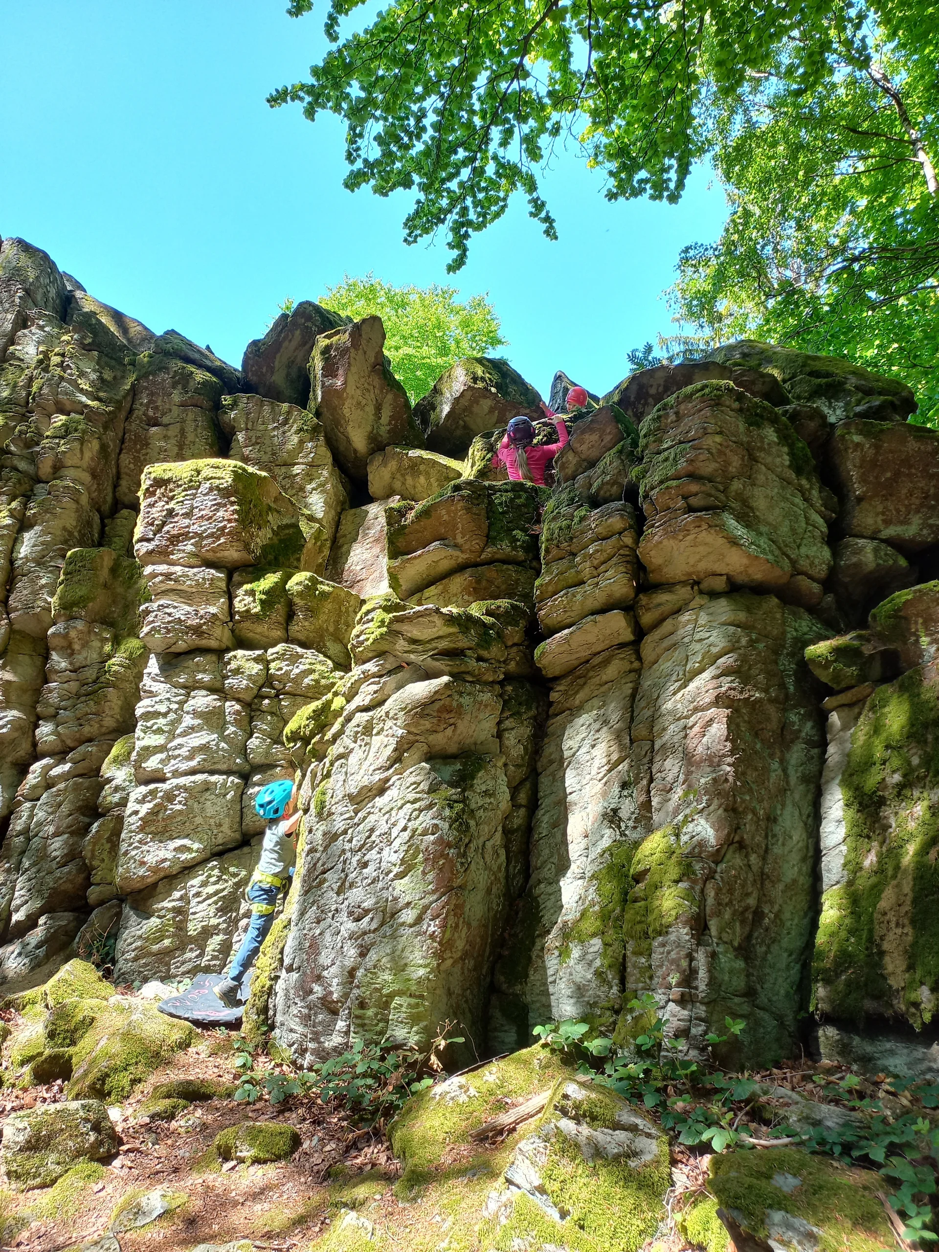 © Sektion Hanau/Christoph König