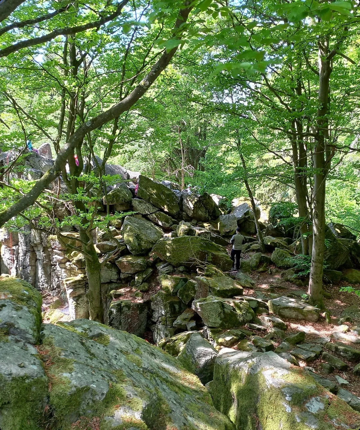 © Sektion Hanau/Christoph König