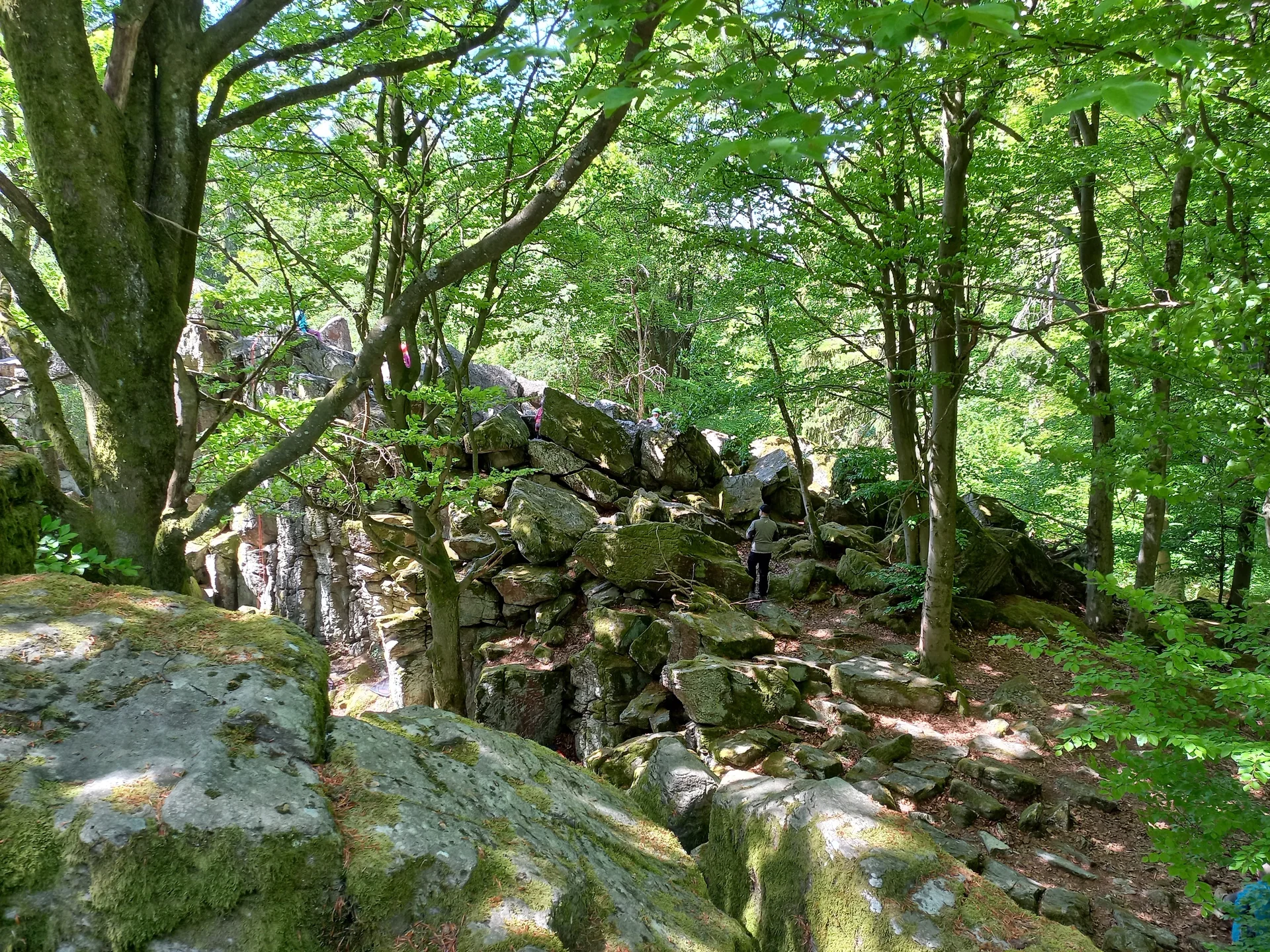 © Sektion Hanau/Christoph König