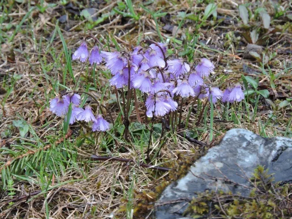 © DAV Hanau/Vera Bodenburg