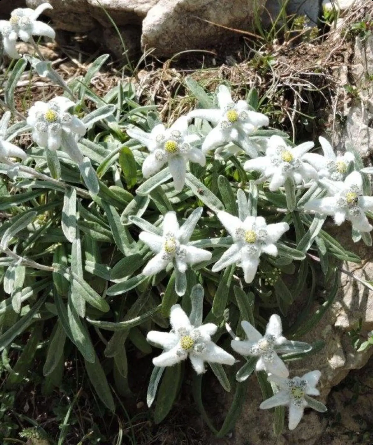 © DAV Hanau/Vera Bodenburg