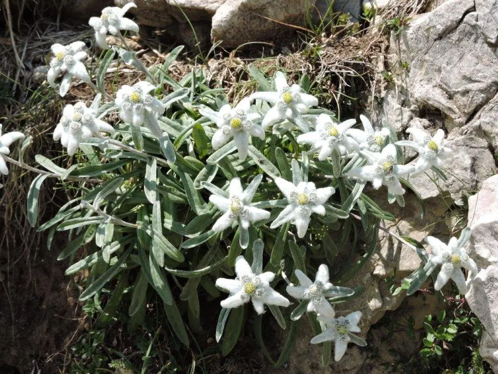 © DAV Hanau/Vera Bodenburg